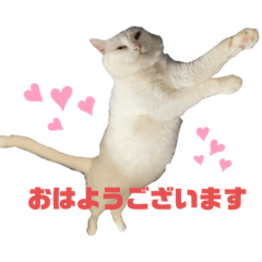 yaosheng_20220806225642