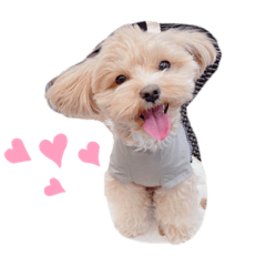fuwa_inu