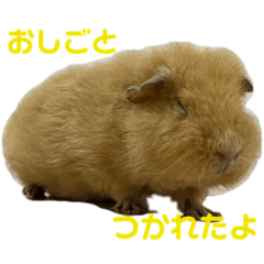 yun_20220807005247