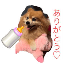 yuto_20220807103145