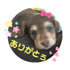 saori_20220807151654