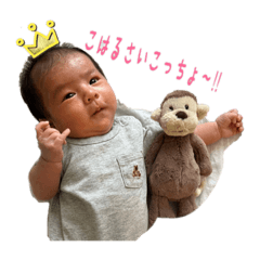 akari_20220807130918