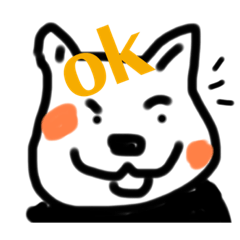 kinaco_20220807175534