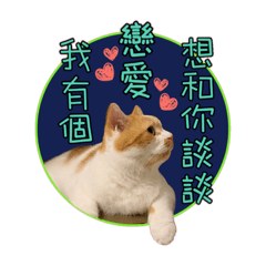 Milla_20220807043827 – LINE stickers | LINE STORE