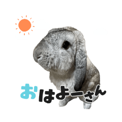 JIN_20220807165937