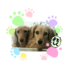 omochi_20220807161643