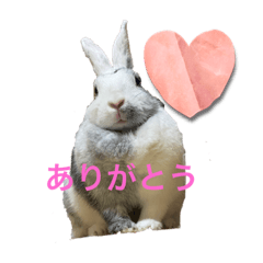 JUNKO_20220807214434