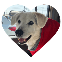 yukari_20220807215255