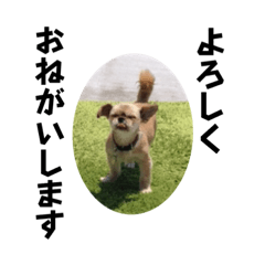 Saori_20220807224629