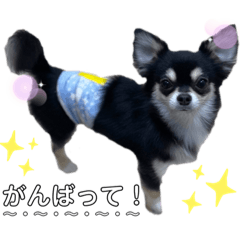 mizuki_20220807224716