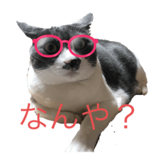 aoi_20220807225921