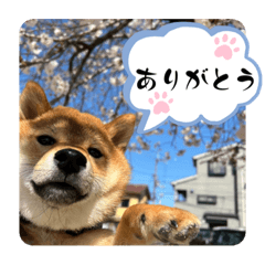 aoi_20220808000002