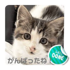 Mary_20220807194609