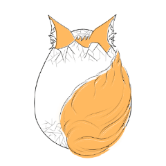 Fox egg