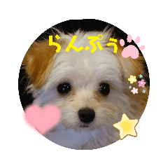 miko_20220807220342