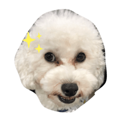 Yuka_20220807234842