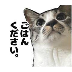 hana_20220808013415