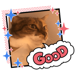 kinaco_20220808064131