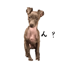 RAIKA_20220808075120