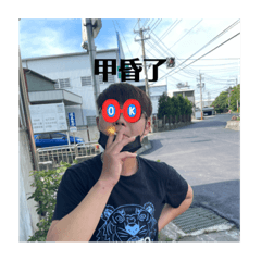 2486drg