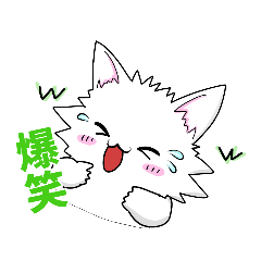 YUN_20220807191446
