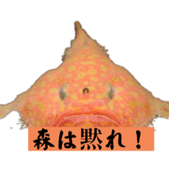 ooooooaoooi