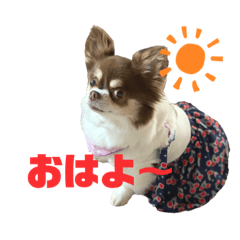 Lilys mom_20220808125535