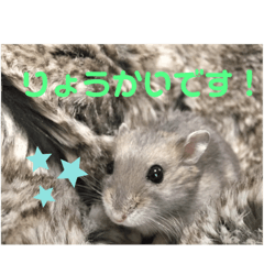 Y.Neko_20220808142206