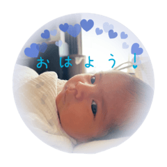 akari_20220808150525