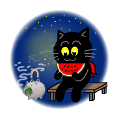 黒猫の日常vol 2