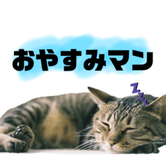Rina_20220808160050