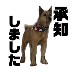 Mikaka_20220808170026