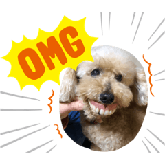 yukari_20220808175353