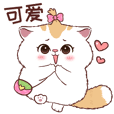 Pumpoy Cat : V. China