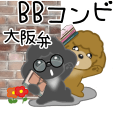 BB Toy poodle osaka dialect