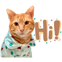 Fafa daily life – LINE stickers | LINE STORE