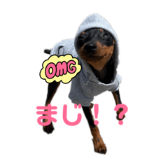 Pam's happy daily life