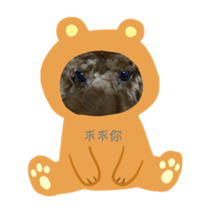 小胖子の專屬貼圖