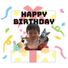 misa_20220808205531