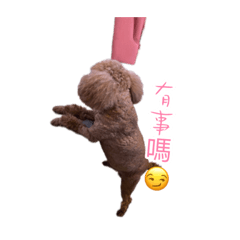 程奇奇2