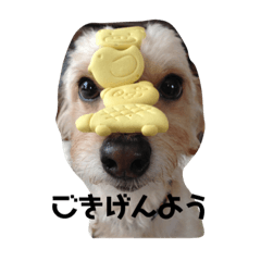 chisa_20220809054052