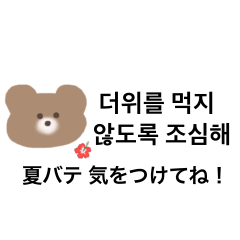 -korea bear 3.5-