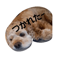 peace_20220809111426
