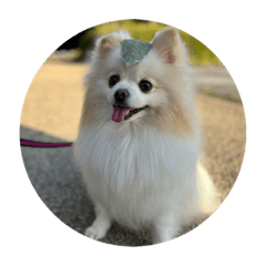 Kchan_20220809112546
