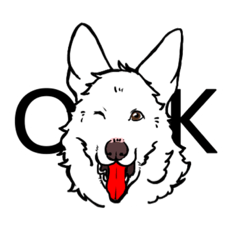 Whiteshepherd-1024