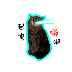 虎虎代替我說