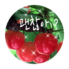 Cherry Star_20220807200349