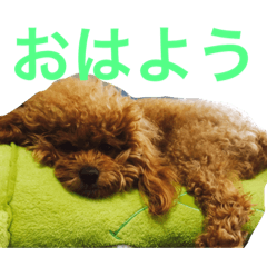 arisa_20220809130444