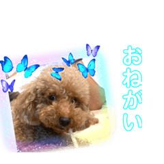 Hana_20220809192024