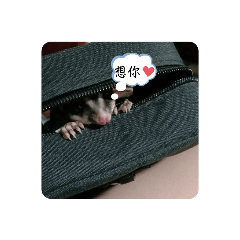 快樂小蜜